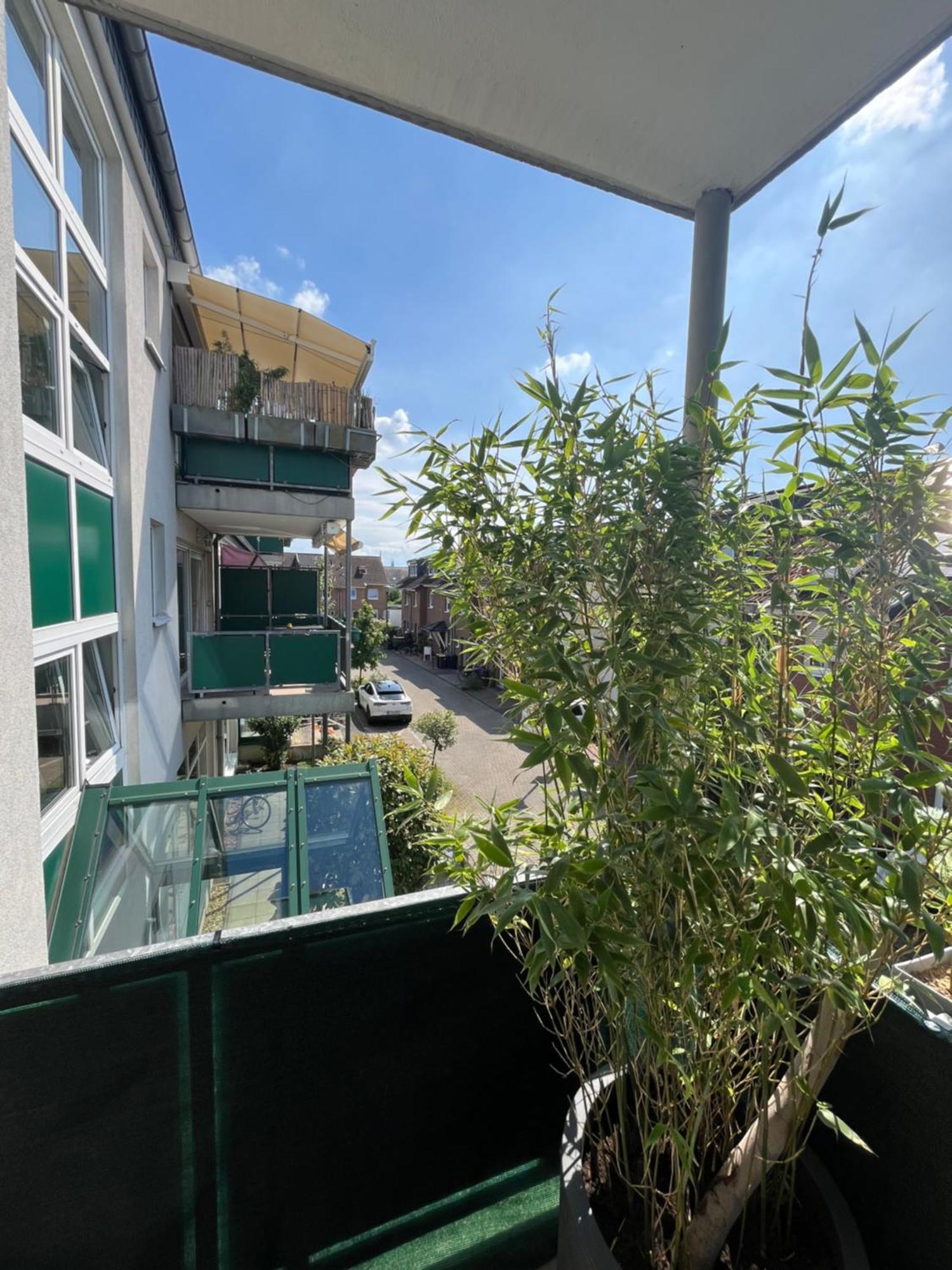Apartamento Domizil Colonia